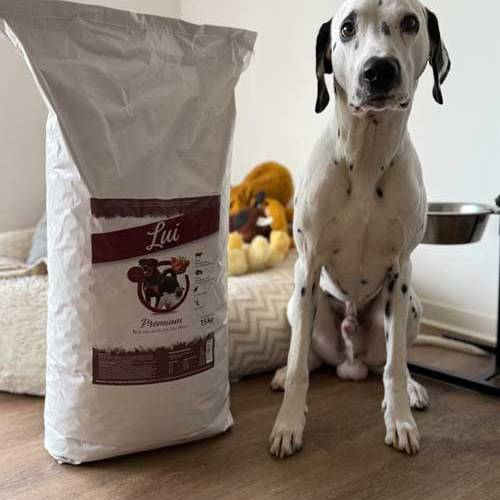 Milano Lui Hundefreunde